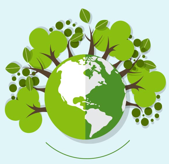 Nachhaltige Pilzentfernung