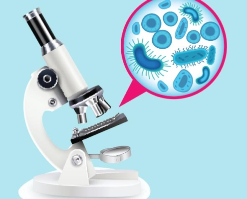 Materialproben im Labor auf Schimmelpilze und Hausschwamm untersuchen