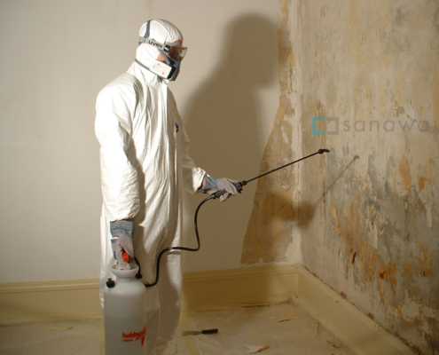 Raumdesinfektion bei Schimmelbefall