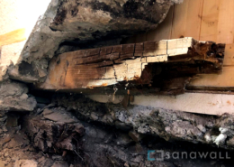 Echter Hausschwamm in Chalet