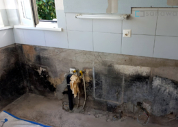 Schimmel in der Küche hinter Küchenschränken